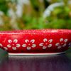 Polish Pottery White Flower on Red Spoon Rest by Ceramika Manufaktura