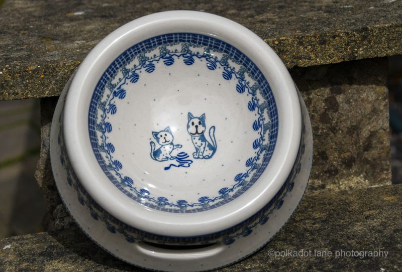 Polish Pottery Cat Bowl in Cat Pattern by Ceramika Artystyczna Bolesławiec.