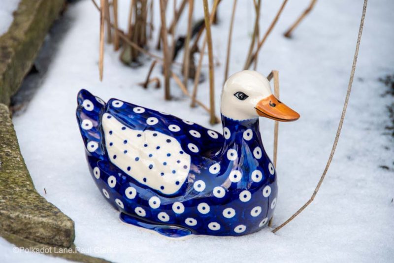 Polish Pottery Blue Spotty Duck Ceramika Manufaktura