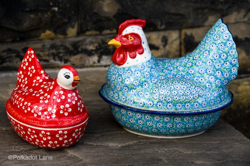 Hen Egg Containers