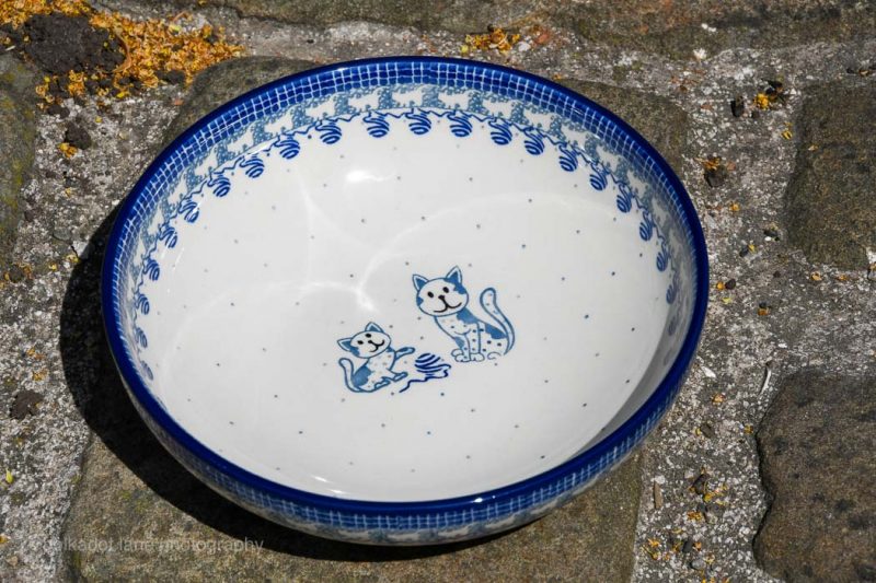 Cat Pattern polish Pottery Salad Bowl by Ceramika Artystyczna