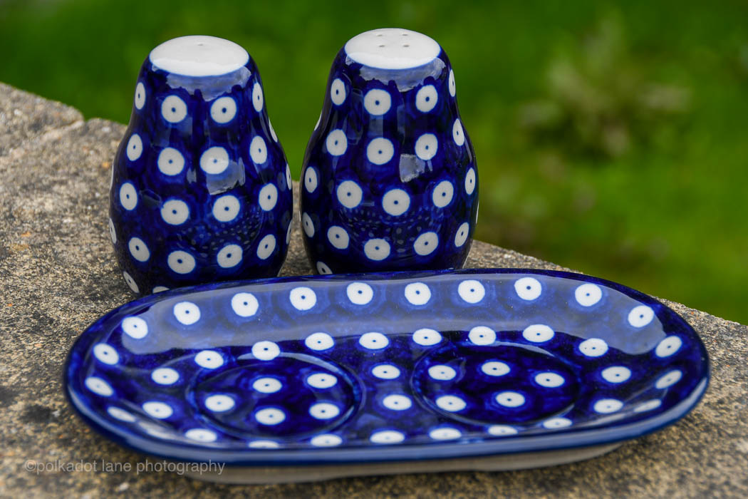 Blue Spotty Salt and Pepper Set from Polkadot Lane Polish Pottery Shop
